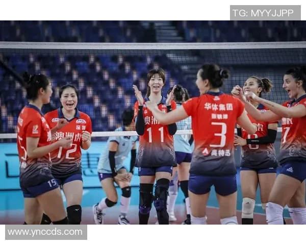 深圳排球队在全国排球比赛经验排行榜中荣获第四名的荣耀时刻 深圳排球队在全国排球比赛经验排行榜中荣获第四名的荣耀时刻