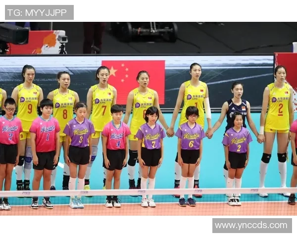 北京排球队在杯赛中的实力表现与未来发展潜力分析