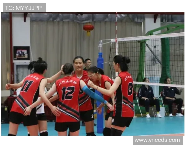 排球节奏排行榜揭晓北京排球队荣获第六名成就斐然 排球节奏排行榜揭晓北京排球队荣获第六名成就斐然