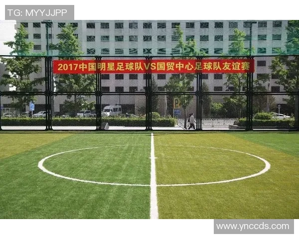 机器足球明星阵容全景图展示未来体育科技的无限可能