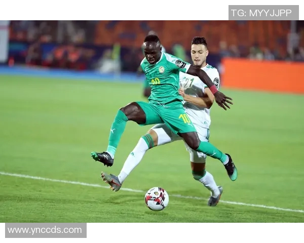 杭州足球队引领最新足球技术TOP10榜单解析与展望 杭州足球队引领最新足球技术TOP10榜单解析与展望