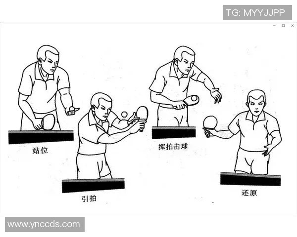 武汉乒乓球队在锦标赛中的技术表现与战术分析全面解读