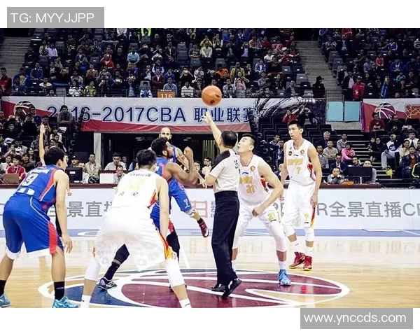 武汉篮球队实力分析与联赛表现评估全景解读