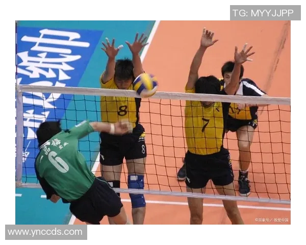 深圳排球队的精神世界与排球文化的深度探索与传承