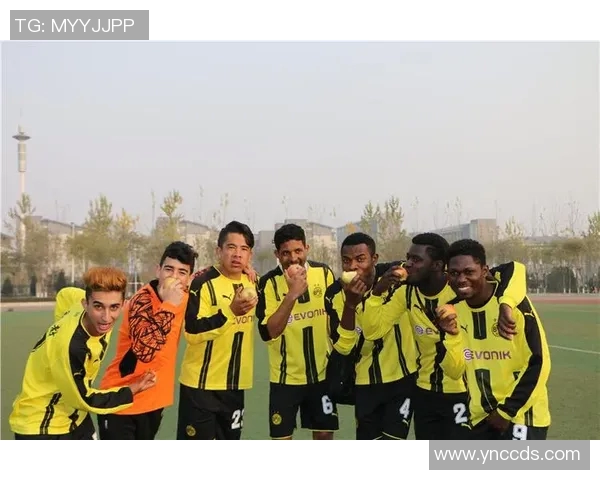 深圳足球队在冠军赛中的团队协作表现分析与总结 深圳足球队在冠军赛中的团队协作表现分析与总结