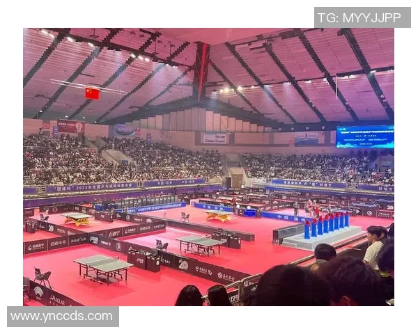 南京乒乓球队在锦标赛中的精彩表现与状态分析全景回顾