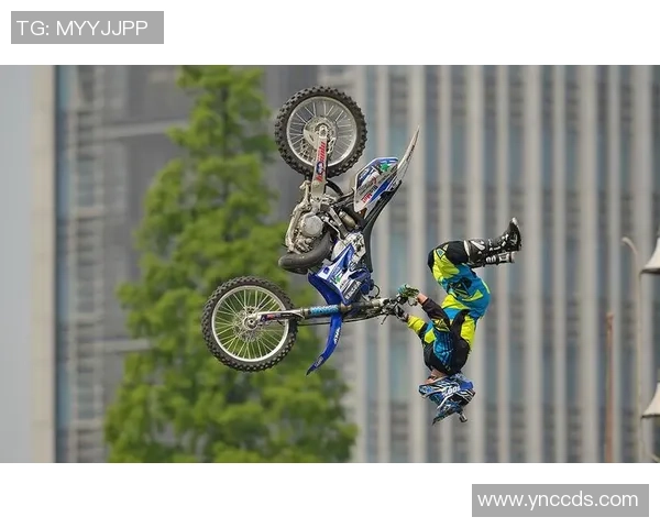 武汉极限运动队心理素质排名第十揭示运动员心理韧性的重要性与发展潜力