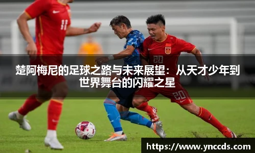 米兰体育平台