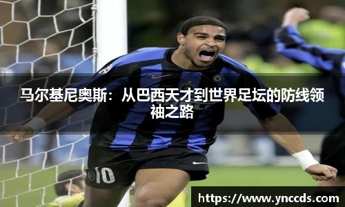 米兰体育官网