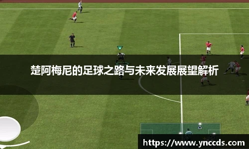 米兰体育官方网站